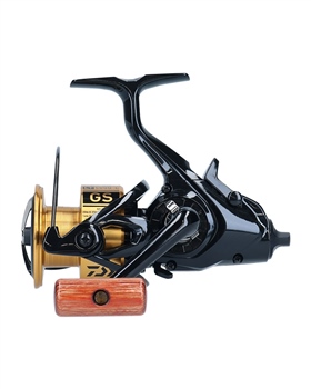 Daiwa 20 GS BR LT Reel 1