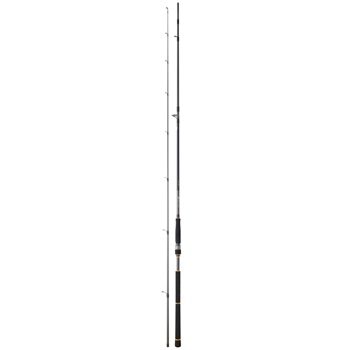 Daiwa BG Seabass Rod 1