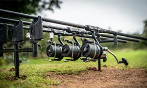 Shop Fishing Reels