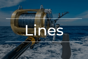 Fishing Lines